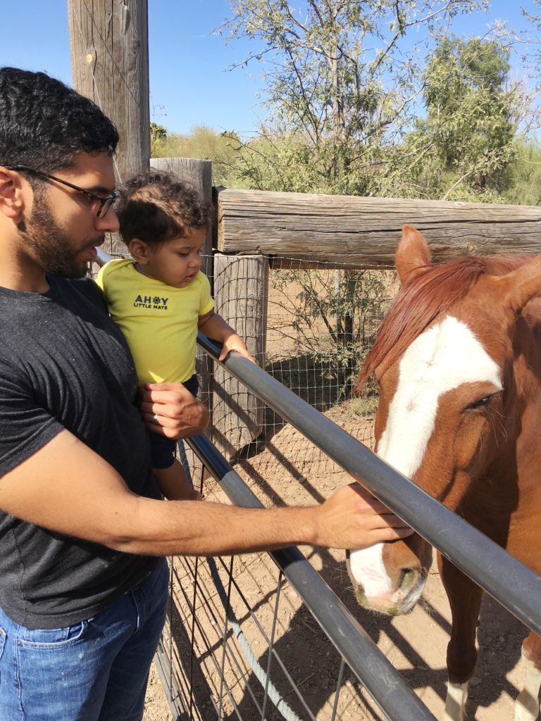 Petting the horse at Singh Farms
